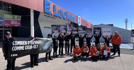 France - Embargo - 14/09, Saint-Aunes| Enquête L214 : action devant le magasin E.Leclerc