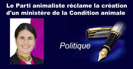 Europe - Le Parti animaliste réclame la création d'un ministère de la Condition animale dans le prochain gouvernement