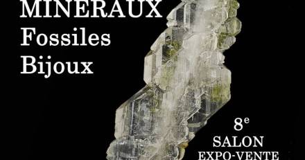 France - 8e SALON MINERAUX FOSSILES BIJOUX de MERIGNAC (Gironde)