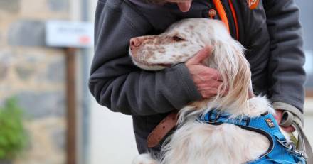 Europe - Urgence de Mobilisation : La SPA Tire la Sonnette d'Alerte pour la Protection Animale !