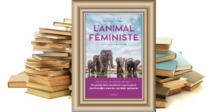 Littéraires - L'Animal féministe - Genre, consentement, pouvoir... 13 spécialistes racontent la puissance des femelles dans les sociétés animales.